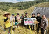 Petani Desa Pakutik Hasilkan 2,45 Kg Gabah dari Ubinan Padi Gogo