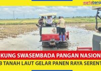 VIDEO - Dukung Swasembada Pangan Nasional, Pemerintah Tanah Laut Gelar Panen Raya Serentak