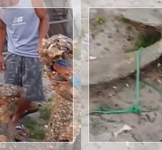 HEBOH! Penyelam Temukan Motor dan Roda Kapal Raksasa di Dasar Teluk Sampit, Begini Kondisinya