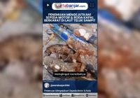 VIDEO - Penemuan Mengejutkan! Sepeda Motor & Roda Kapal Berkarat di Laut Teluk Sampit