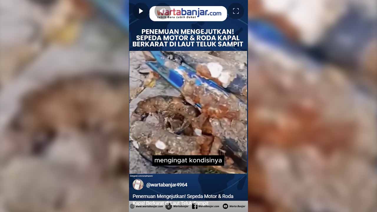 penemuan teluk sampit