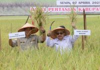 Wabup: Desa Lok Tangga Berpotensi Besar Jadi Lumbung Padi Kabupaten Banjar