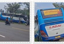 TRAGIS! Sopir Meninggal Mendadak, Bus Ladju Tabrak Pohon dan Masuk Halaman Rumah di Lumajang​