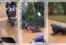 Wisatawan Jatuh Bergelimpangan di Jalan Berlumpur dan Licin Menuju Pantai Teluk Tamiang Kotabaru