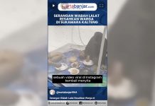 VIDEO - Serangan Wabah Lalat Resahkan Warga di Sukamara Kalteng
