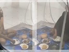 NGERI! Wabah Lalat Serbu Pemukiman di Sukamara Kalteng, Warga Makan dalam Kelambu, Penyakit Mengintai