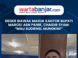 VIDEO - Geger Biawak Masuk Kantor Bupati Maros! ASN Panik, Chaidir Syam: “Mau Audiensi, Mungkin!”