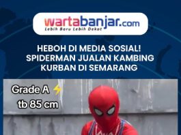 VIDEO - HEBOH DI MEDIA SOSIAL! Spiderman Jualan Kambing Kurban di Semarang