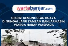 VIDEO - GEGER! Kemunculan Buaya di Sungai Jafri Zamzam Banjarmasin, Warga Harap Waspada