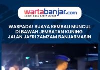 VIDEO - WASPADA! Buaya Kembali Muncul di Bawah Jembatan Kuning Jalan Jafri Zamzam Banjarmasin