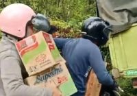 Viral Truk Terperosok, Pengendara Malah Sibuk Menjarah Mie Instan