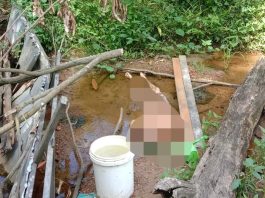 Diduga Terpeleset, Penyebab Mayat Ditemukan di Sungai Kompek Surya Makmur