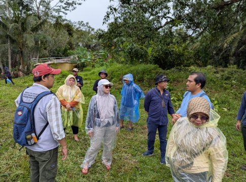Dishut Kalsel Bakal Tanam Mangrove di Desa Sabuhur Tanah Laut