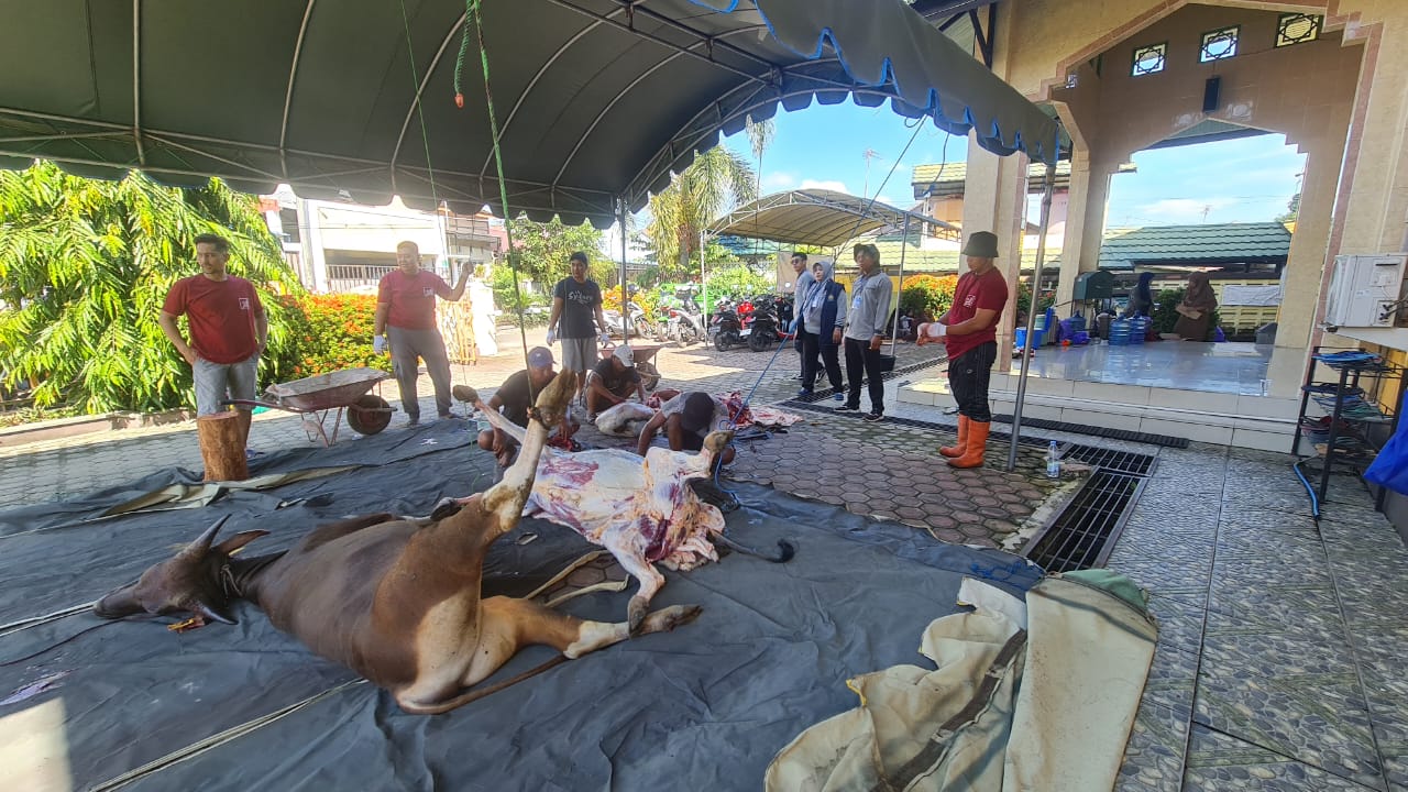 DKP3 Banjarbaru Bentuk Tim Pemeriksa Hewan