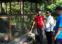 Wali Kota Banjarmasin Taman Satwa Jahri Saleh : Mirip Hutan