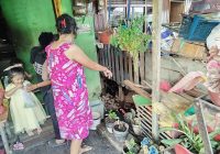 Warga Khawatir Tak Ada Peringatan Bahaya Buaya di Sungai Jafri Zamzam