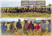 Panen Perdana Sawah Demplot Wanam, Jhonlin Group Buktikan Lahan Subur Papua Siap Jadi Lumbung Baru