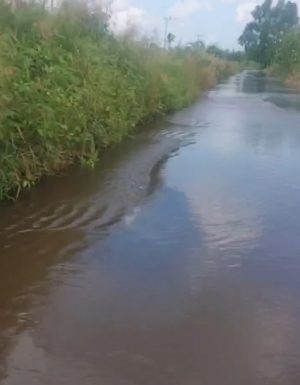 Warga Keluhkan Kondisi Jalan Rusak dan Kerap Banjir di Desa Kuala Lupak Batola