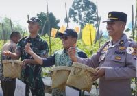 Panen Cabai Perdana di Desa Dangu: Simbol Ketahanan Pangan dan Penggerak Ekonomi Lokal