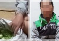TERBONGKAR! Aksi Ibu-Ibu Berulang Kali Curi Sayur di Katingan, Terong hingga Cabai Dijual Murah