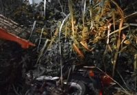 Sepeda Motor Hilang di Kemuning Akhirnya Ditemukan di Semak-semak