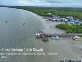 VIDEO - Panen Perdana Sawah Demplot Wanam, Jhonlin Group Buktikan Lahan Subur Papua Siap Jadi Lumbung Baru