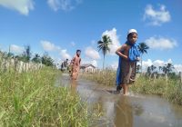 Kerap Direndam Air, Kondisi Terkini SDN Basirih 10 Parah, Pemko dan Disdik Siapkan Solusi