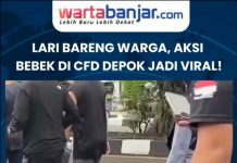 VIDEO - Lari Bareng Warga, Aksi Bebek Di CFD Depok Jadi Viral