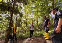 3.000 Pohon Ulin Dilestarikan di Tahura Sultan Adam