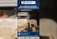 VIDEO - Viral! Induk Gajah Tunjukkan Kesedihan Mendalam di Samping Anaknya yang Tewas Tertabrak Truk