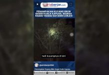 VIDEO - Penampakan Kuyang Bikin Geger Kuala Kapuas, Warga Ramai-ramai Datangi Lokasi