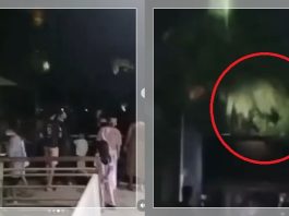 GEGER PENAMPAKAN KUYANG Terbang di Langit Kapuas, Warga Serbu Lokasi Wisata Siring!