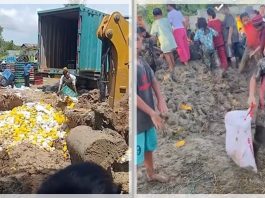 VIRAL! Warga Berebut Mangga Impor yang Sudah Dikubur dan Disiram Zat Kimia: Netizen: "Jiwa Mulung Merajalela!"