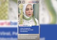 VIDEO - Viral, Pengantin Membawa Ular Saat Pernikahan