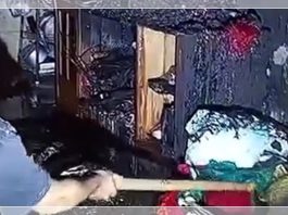 Teror Pembakar Misterius Gegerkan Tipar Sukabumi! Sudah 13 Titik Jadi Sasaran, Warga Takut Pulang ke Rumah