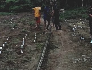 MENGERIKAN! Gadis 15 Tahun Dililit dan Nyaris Ditelan Ular Piton 7 Meter di Kebun, Warga Ngamuk