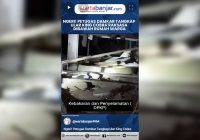 VIDEO - Ngeri! Petugas Damkar Tangkap Ular King Cobra Raksasa Dibawah Rumah Warga
