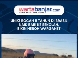 VIDEO - UNIK! Bocah 9 Tahun di Brasil Naik Babi ke Sekolah, Bikin Heboh Warganet