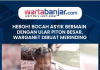 VIDEO - HEBOH! Bocah Asyik Bermain dengan Ular Piton Besar, Warganet Dibuat Merinding