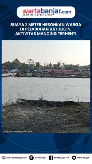 VIDEO - Buaya 2 Meter Hebohkan Warga di Pelabuhan Batulicin, Aktivitas Mancing Terhenti