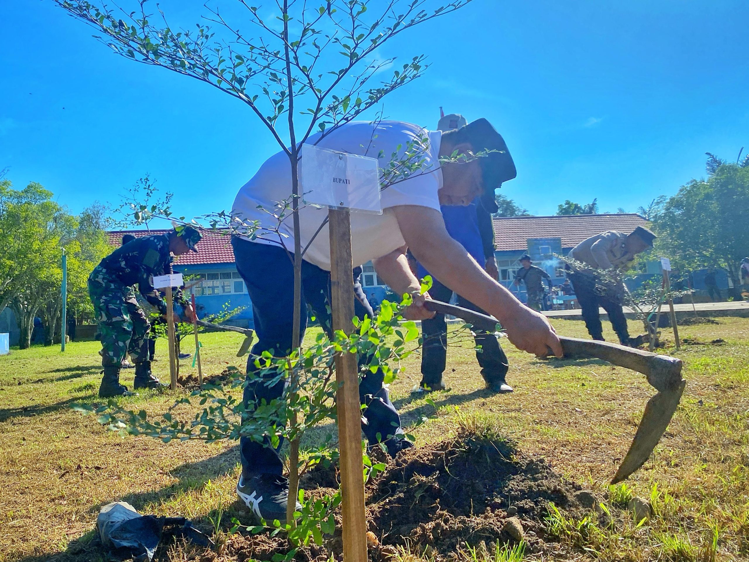 Bupati HST, Samsul Rizal melakukan penanaman