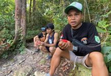 Pendaki Gunung Hauk Bisa Lebih Nyaman! Gazebo Akan Dibangun di Tiga Pos Strategis
