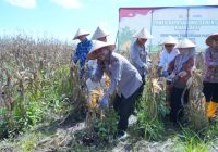 Ketua DPRD Kalsel Bangga, Polda Kalsel Mampu Sulap Lahan Tidur Jadi Pertanian