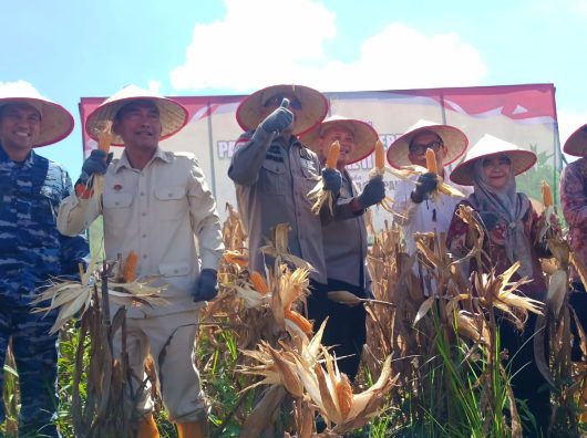Polda Kalsel Panen 41 Ton Jagung di Lahan Jalan Gubernur Syarkawi