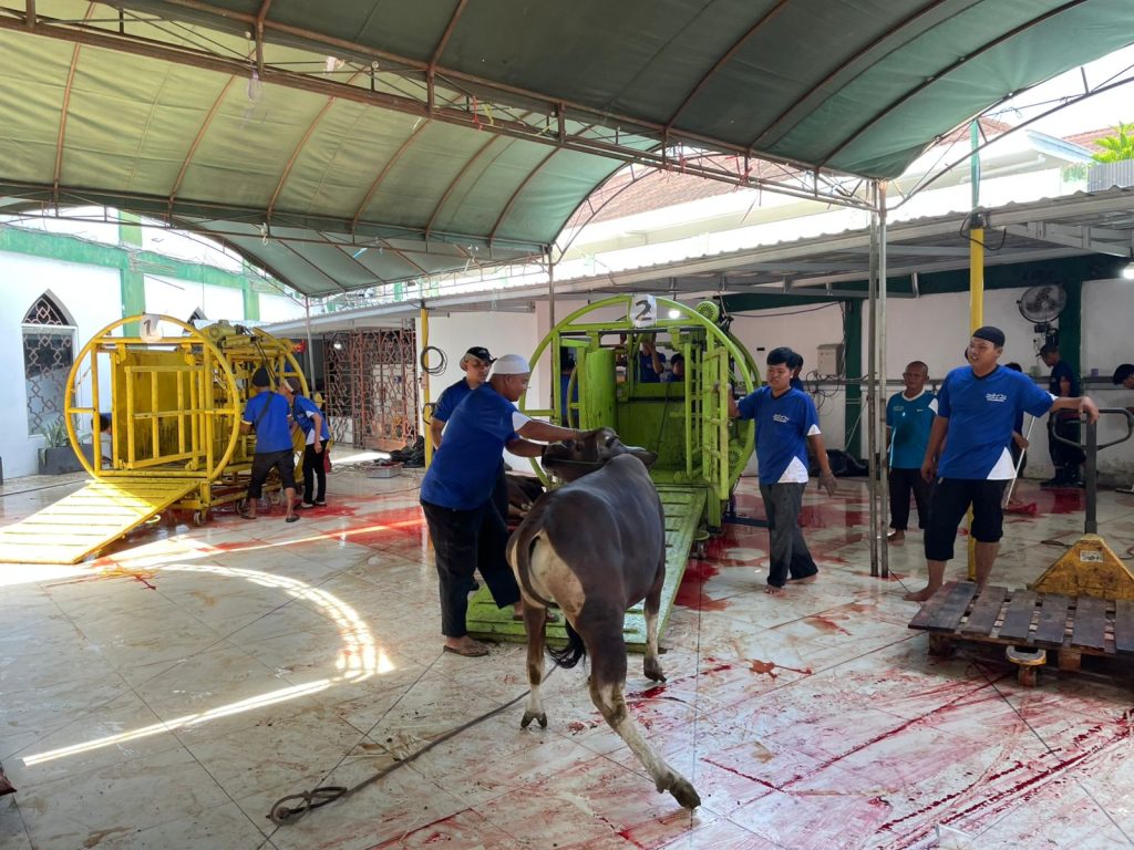 Pecah Rekor, Masjid Al-Jihad Sembelih 93 Ekor Sapi Kurban
