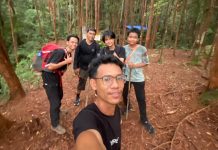 Pos Empat Gunung Hauk: Suguhan Keindahan Pepohonan Kayu Habang