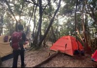 Hambal Lumut Jadi Lokasi Favorit Dirikan Tenda di Gunung Hauk