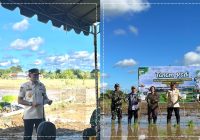 Tanah Laut Genjot Produksi Padi: 885 Unit Alsintan Diterjunkan, Targetkan Jadi Lumbung Pangan Kalsel