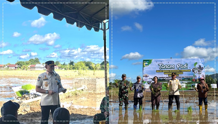 Kegiatan Tanam Padi dan Penyerahan Simbolis2