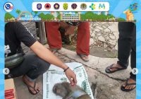 BPBD dan Tim Animal Rescue Banjarmasin Amankan Kera Liar Ganggu Warga Mantuil